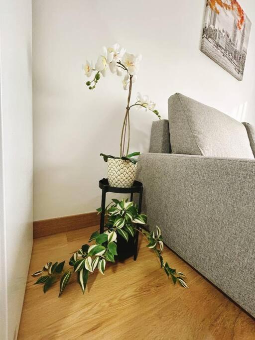 Apartment In The Heart Of Málaga Eksteriør bilde